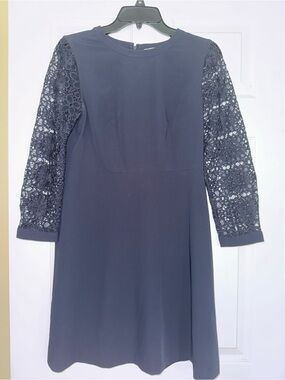Loft Elegant Navy Dress with Crochet Lace Sleeves